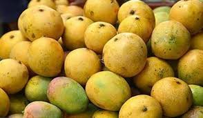 मधुवा रोगले आँप उत्पादनमा ह्रास आउन सक्ने