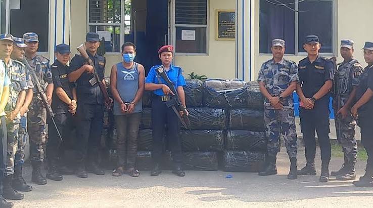 मोरङमा एक टनभन्दा बढी गाँजासहित मिनिट्रक चालक पक्राउ